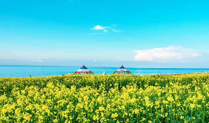 治懒病特效药,治懒措施