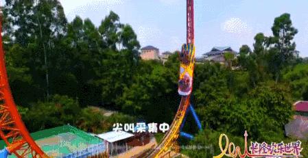 广州长隆野生动物世界附近的酒店,广州长隆酒店福利待遇