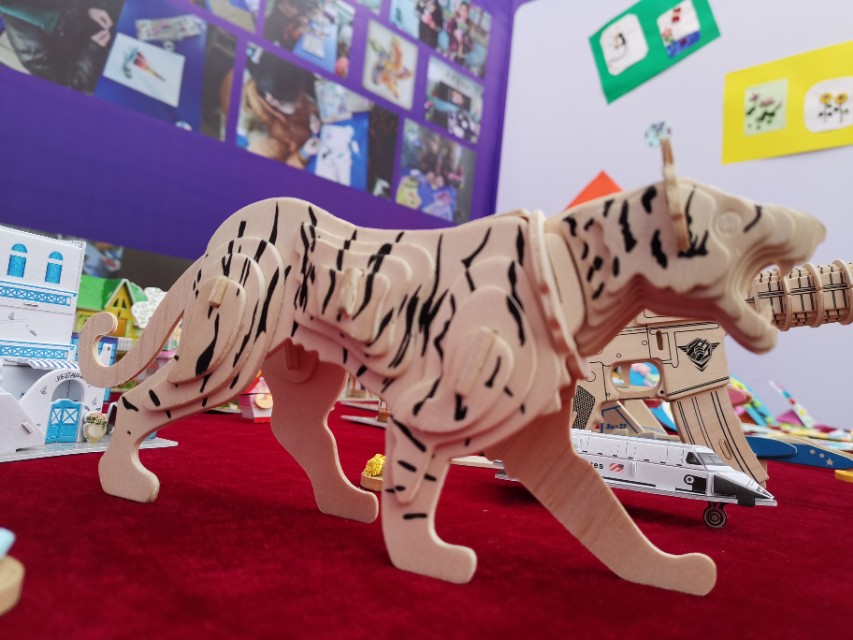 2019华奥杯足球邀请赛,校园足球杯圆满落幕