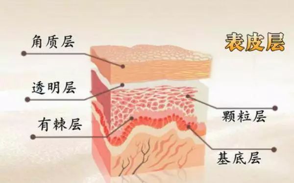 安瓶原液的区别,精华液和肌底液和安瓶使用顺序