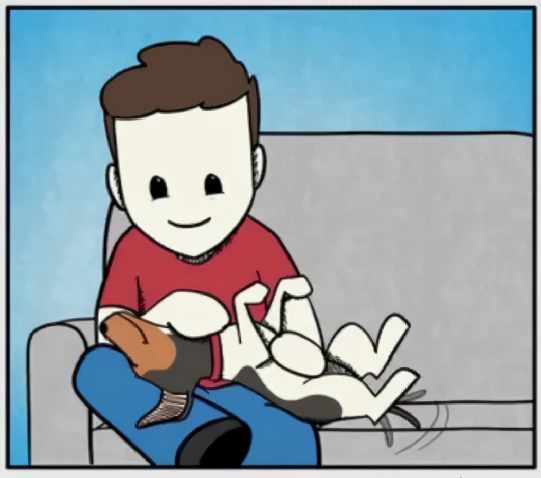 猫和铲屎官漫画全集,铲屎官和狗子的漫画