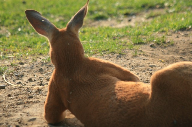 山东小伙爆笑场面,农村小伙二货搞笑视频
