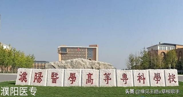 河南几所中医卫校,河南医专升格