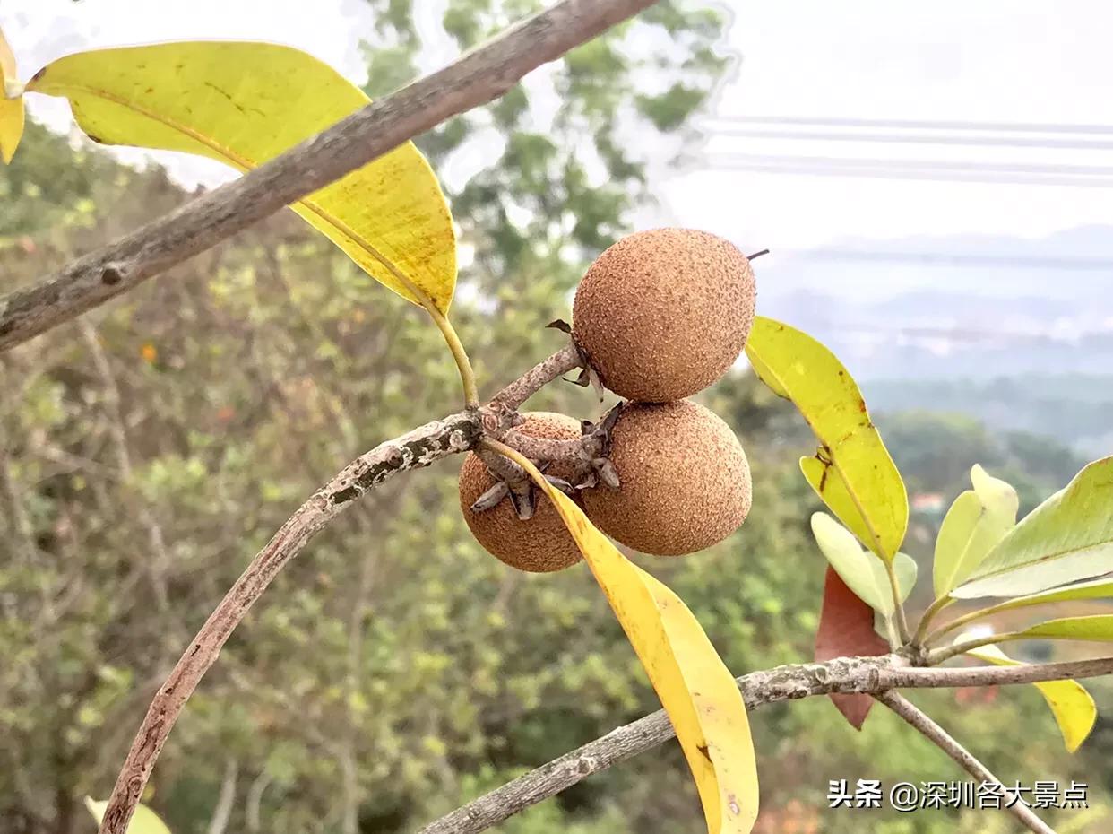 石岩湖是一级水源保护区，为了保护周围都开始*迁拆**，能赔多少钱？