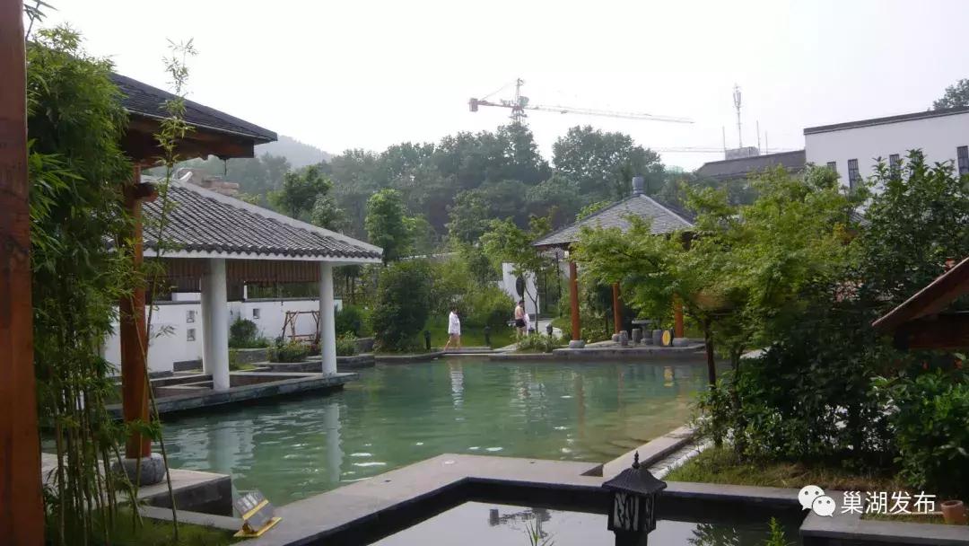 巢湖市半汤,半汤怎么做