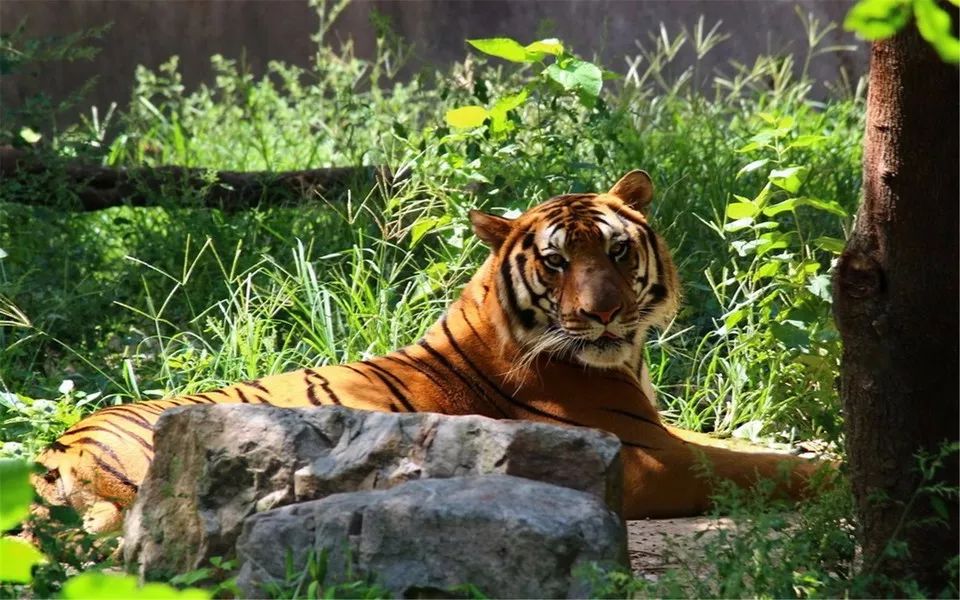 推荐上海地铁能乘到的游玩景点,上海地铁可直达的旅游景点