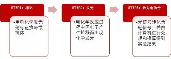 2023年达到500亿的“化学发光”赛道，都有哪些国产玩家？
