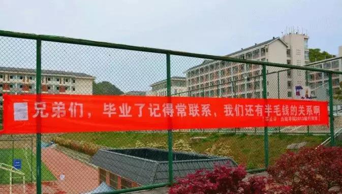 毕业季校园里这些横幅看哭了,学校毕业横幅