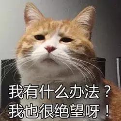 磨指甲神器美甲,磨指甲美甲神器