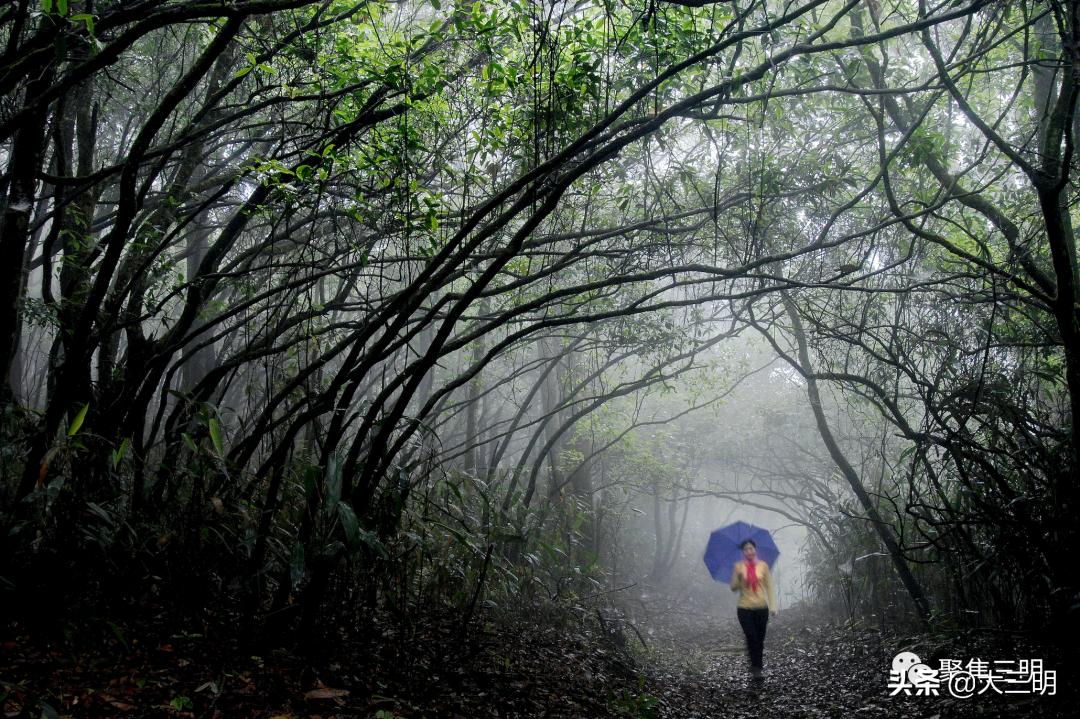 中国最美三明旅游线路,中国绿都泰宁最氧三明