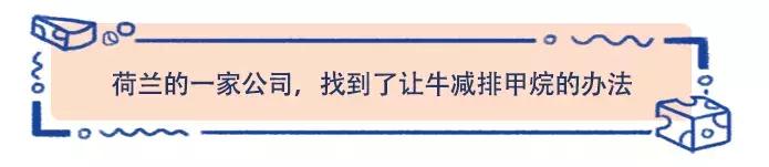 全球气候变暖对荷兰的影响,全球变暖会对荷兰产生怎样的影响