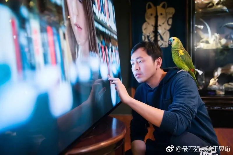 王昱珩不上班做到财富自由,最强大脑王昱珩清华毕业后不上班