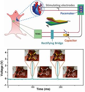 他解决2600年难题，短短1年两获国际大奖，研究成果将惠及全世界