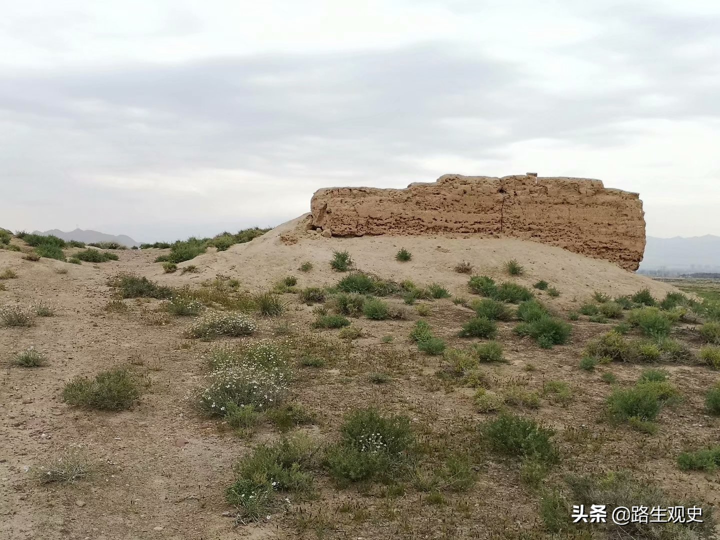 培黎学校真实情况,培黎学校的历史
