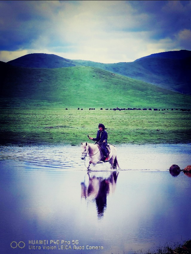 一条绝美草原之路,一条绝美的自驾公路