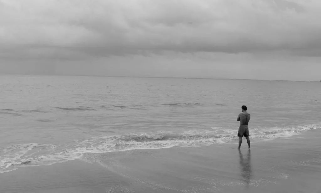 101部必看的电影,2020必看电影清单100部