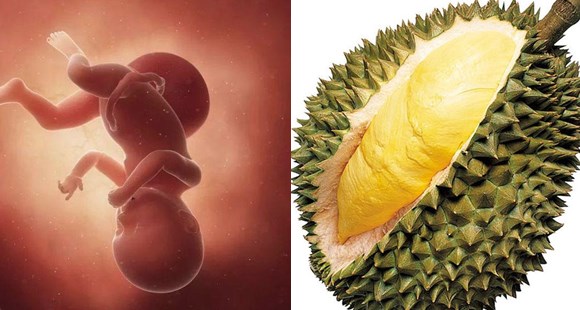 1-40周胎儿发育拍照片记录对比,一张图看懂胎儿发育