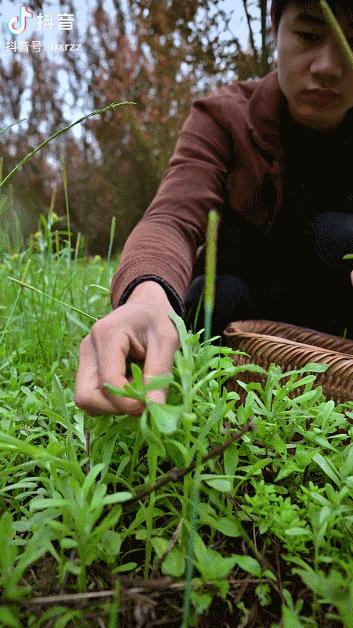7月抖音带货主播排名前十名,抖音带货主播排名前十名个人收入