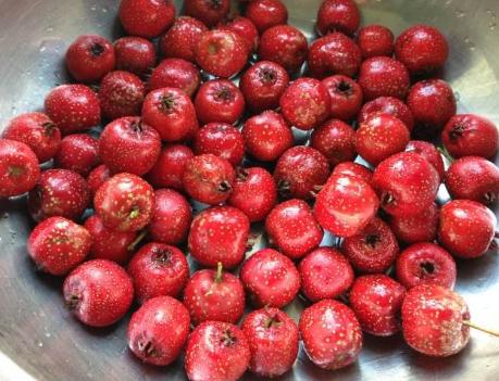 做糖雪球剩下的糖霜怎么办,2分钟揭秘糖雪球制作秘诀