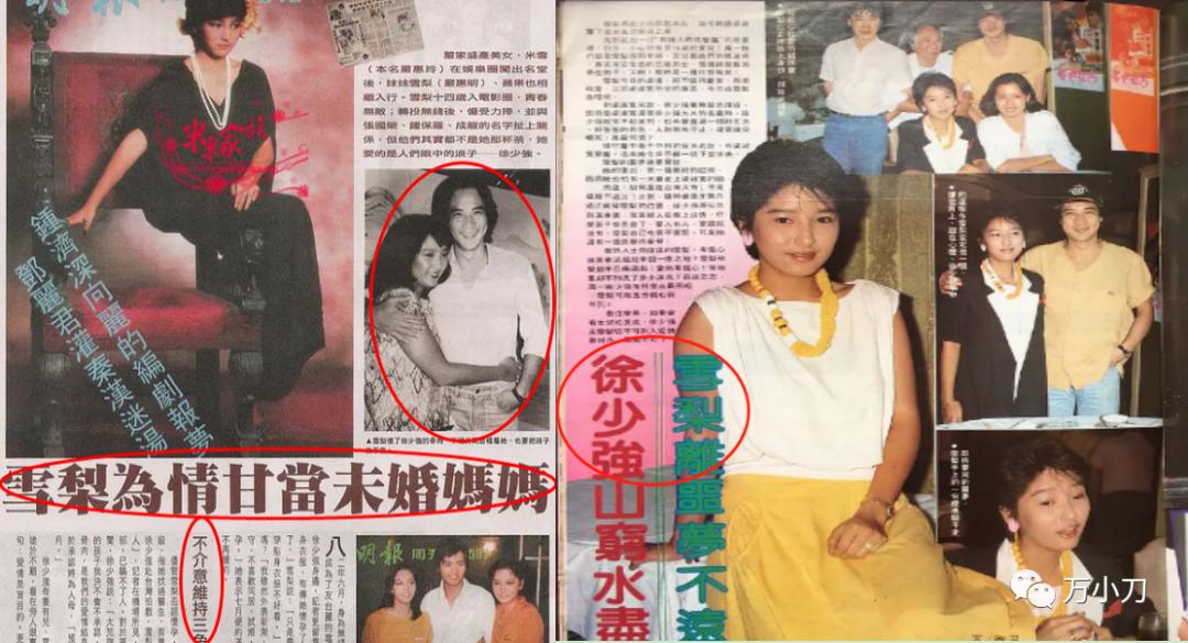 雪梨与张国荣,女星雪莉张国荣