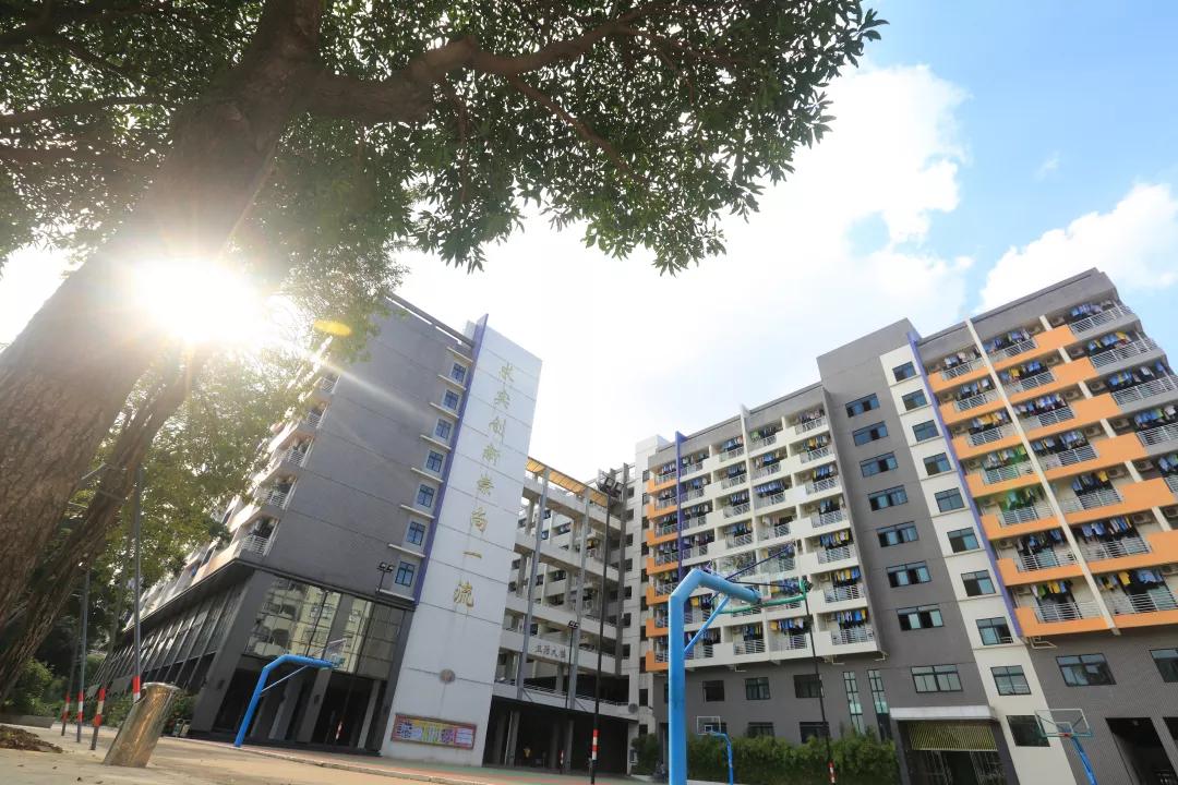 佛山优质教育展直播,佛山首届教育嘉年华来袭