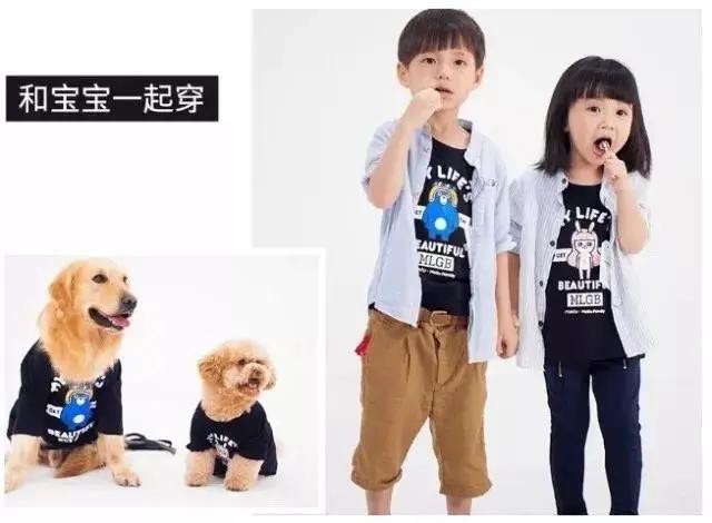 什么样的文化衫好看,为什么别人穿t恤那么好看