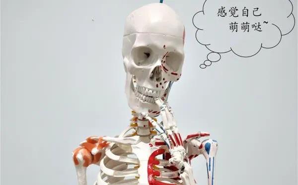 坚守八年的康复之路,坚守从医初心医生