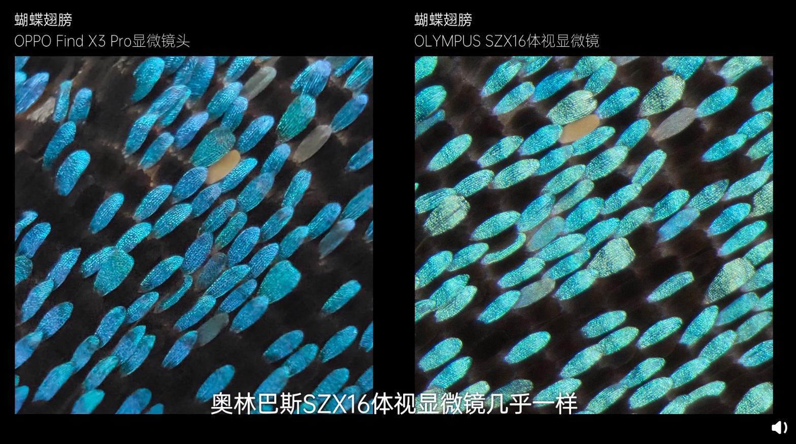 oppofindx3显微镜,findx3显微镜有什么实际用处
