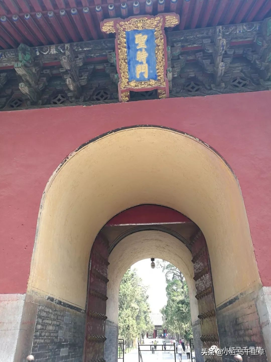 曲阜孔府孔庙孔林历史背景,曲阜孔府孔庙孔林一游