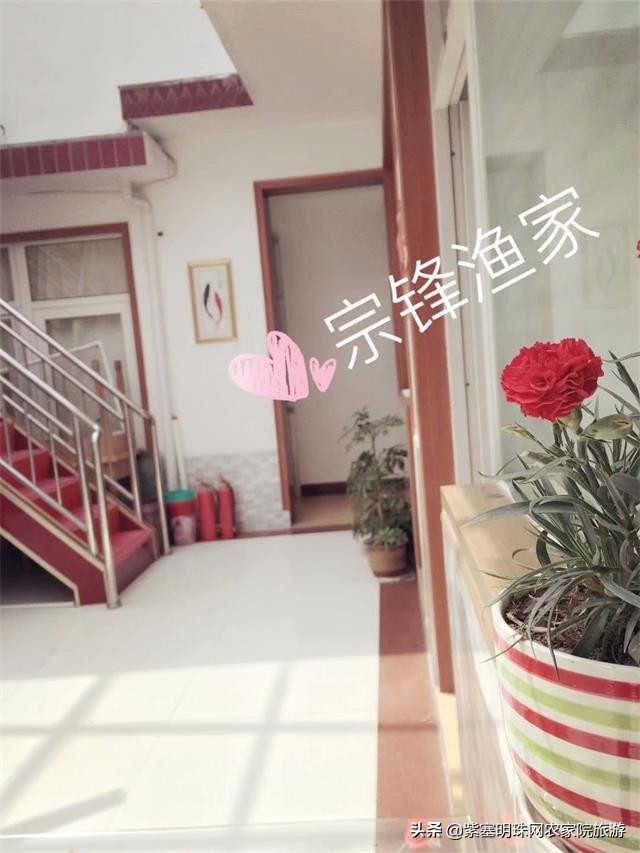 日照直播,日照索隆