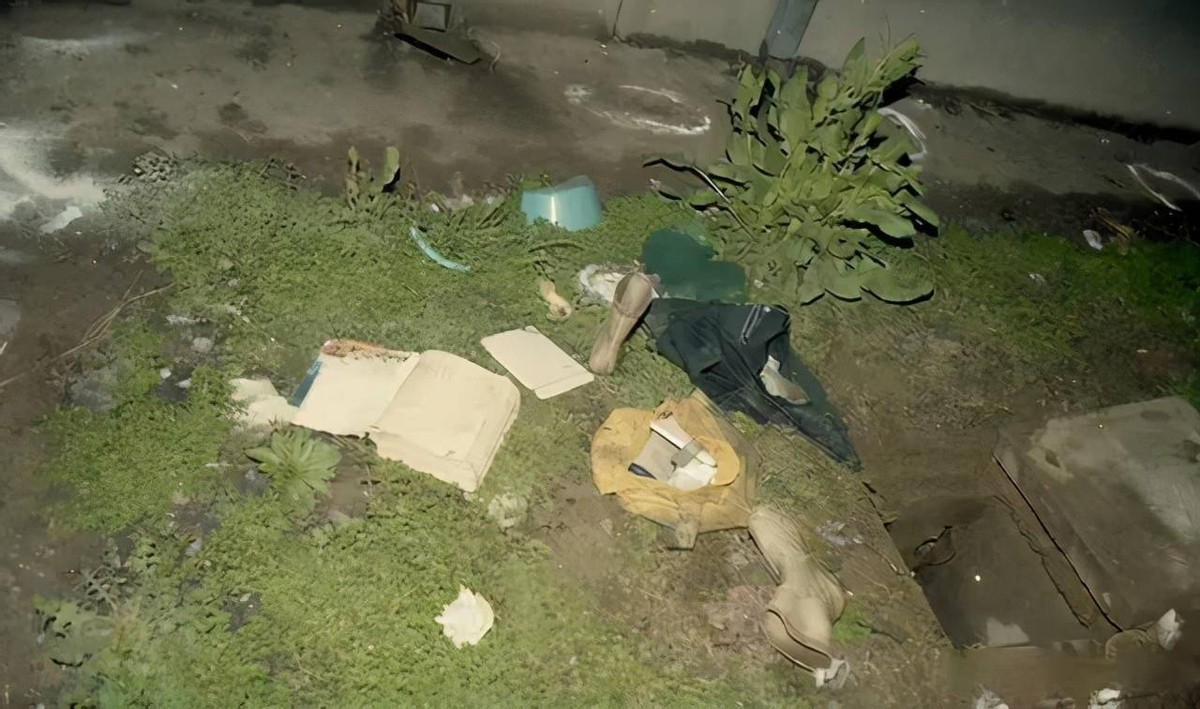 1996南京女大学生被害案回顾,96南京女大学生被害案回顾