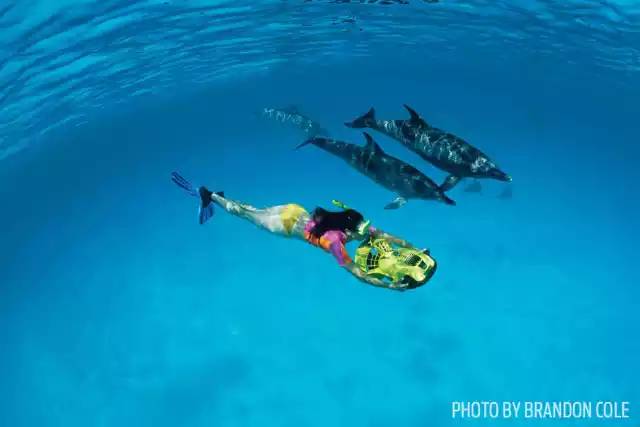 自由潜水怎么玩,潜水20个基本技巧