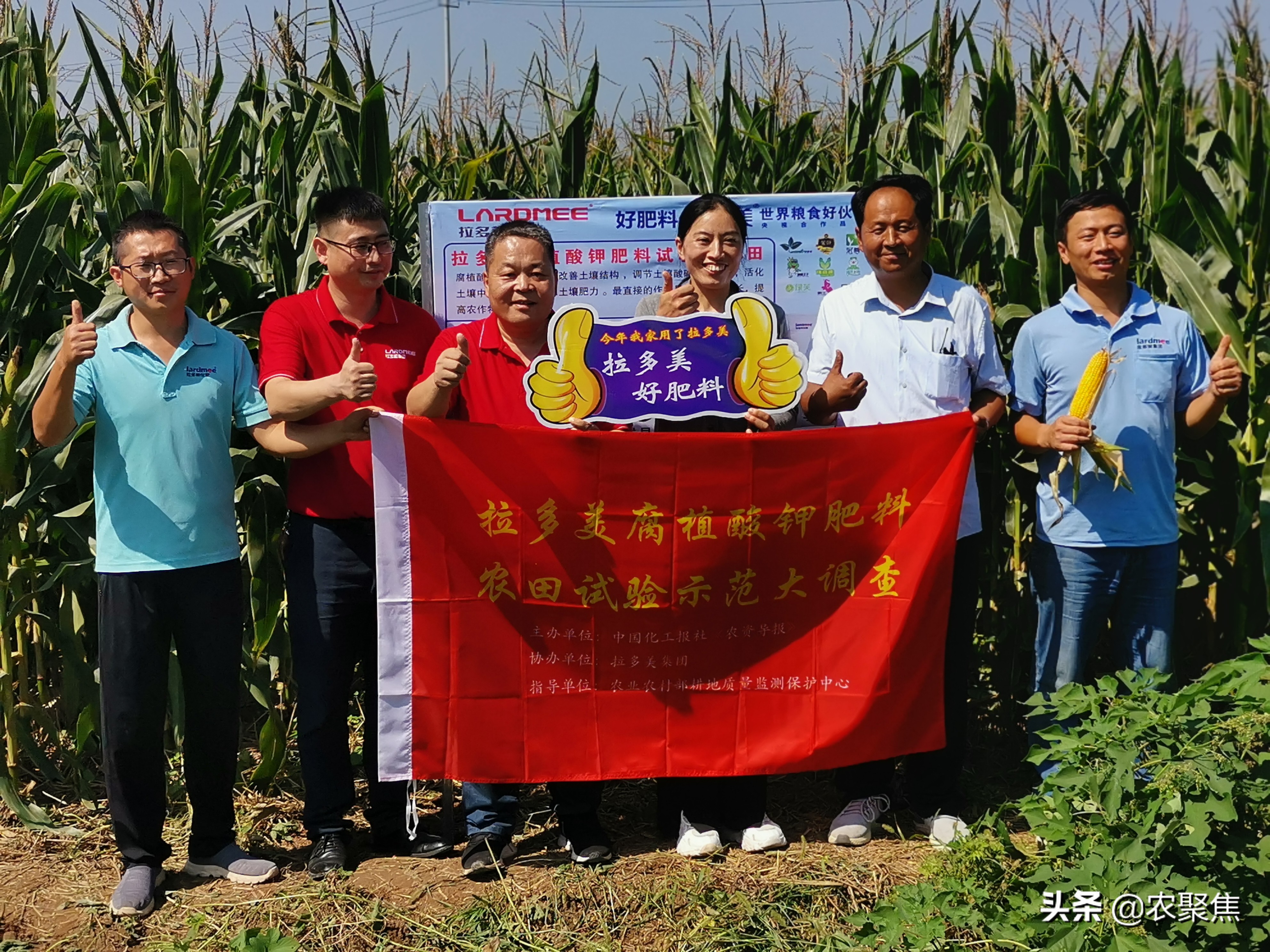 拉多美腐植酸钾肥,拉多美高塔腐植酸价格