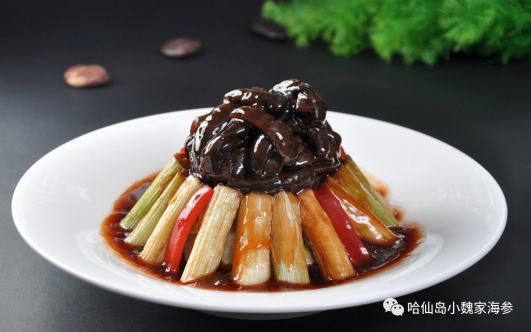 海参做法家常做法,海参怎么做好吃家常菜做法大全