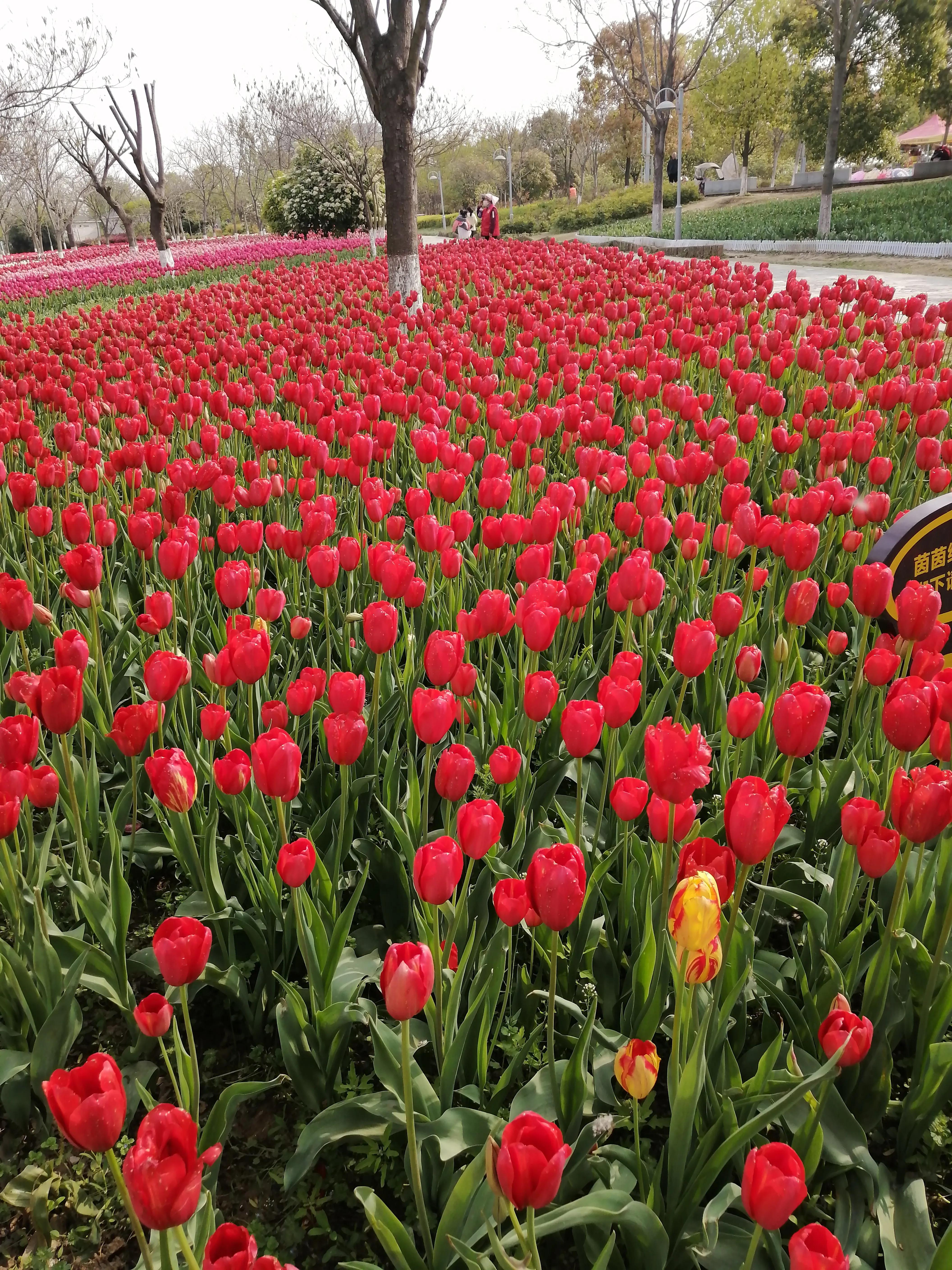 智汇盟教育平台,智汇盟商学院总结