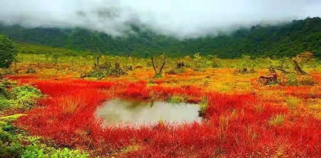 红了！黑竹沟迎颜值巅峰快去穿越五彩童话世界