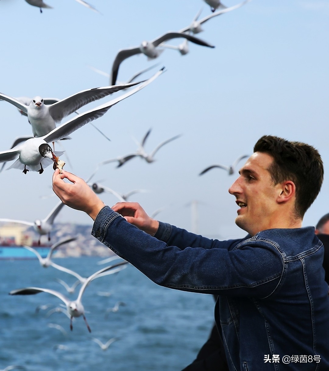 英超球队标志都是什么,英超热刺标志