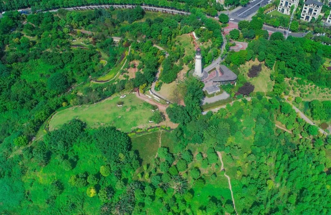 两江智慧之旅,重庆夜游两江经典时间