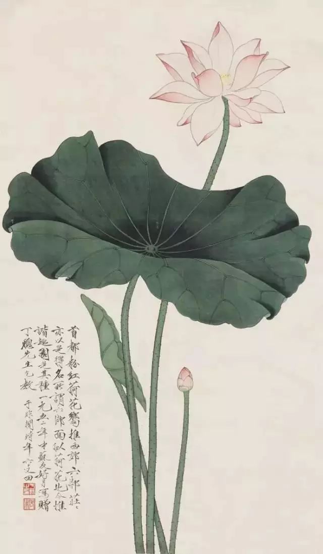 工笔画怎样才不会皱,工笔画怎么画平整