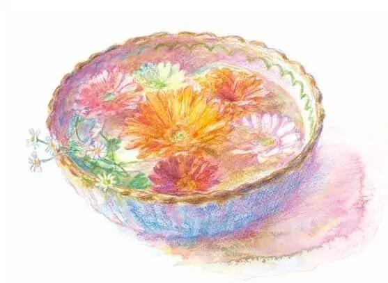 彩铅画云堇教程,三色堇彩铅画图片