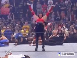 wwe最强的十大终结技,wwe十大最强必杀技