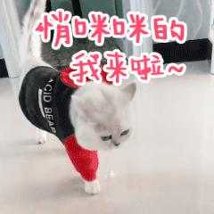 原来iphone闹钟这么牛,这才是iphone闹钟的正确打开方式