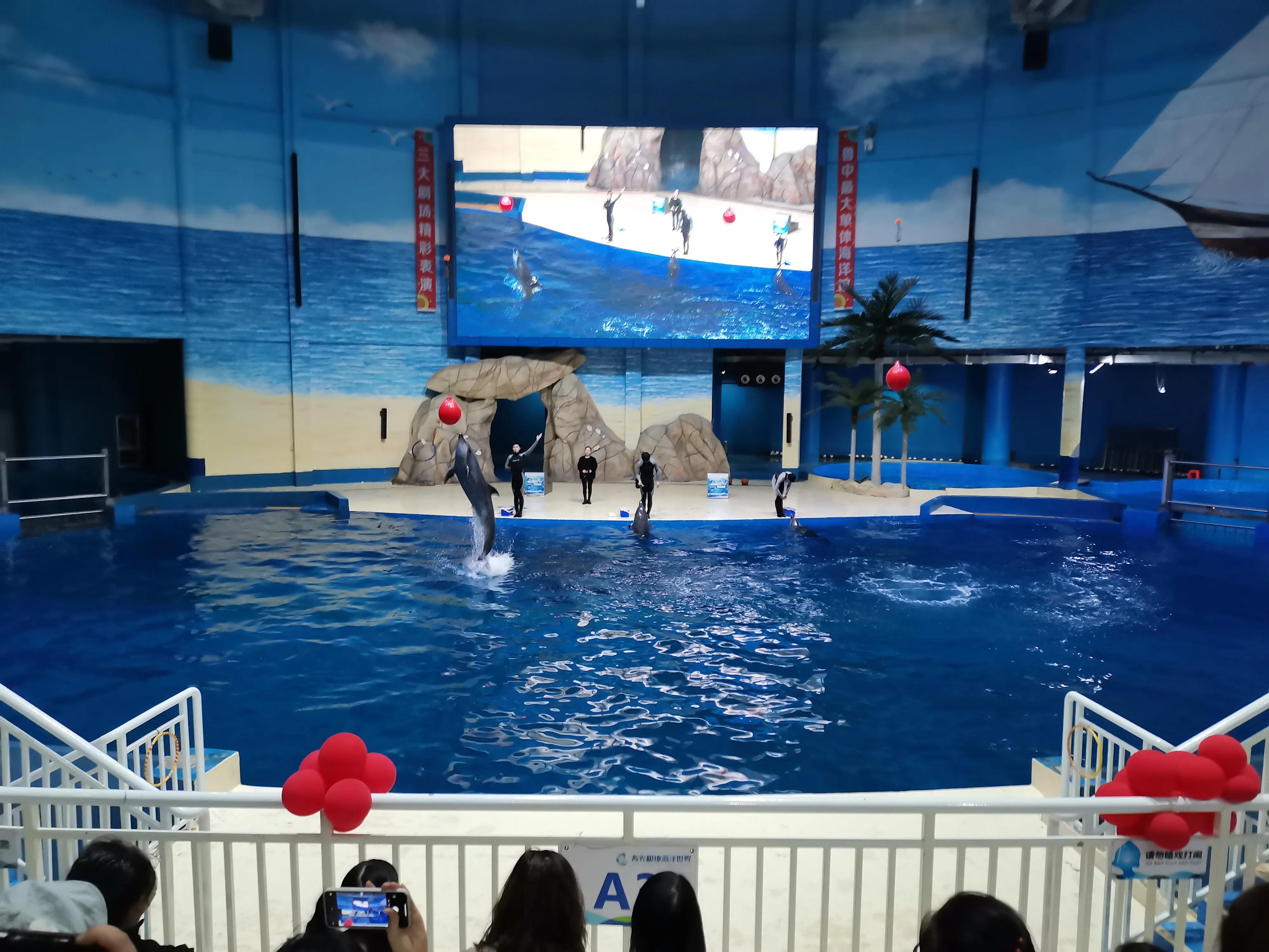 潍坊极地世界,寿光极地海洋世界人多吗