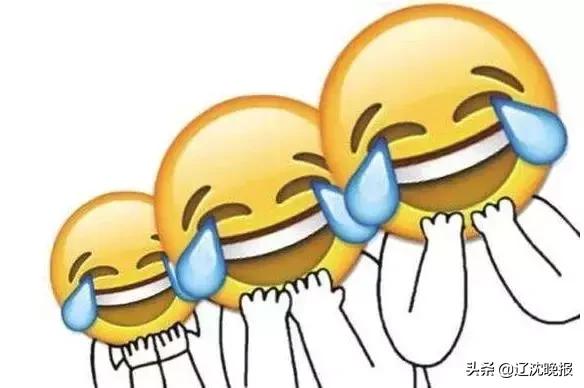 沈阳的全年天气怎么样啊,沈阳天气到底有多冷