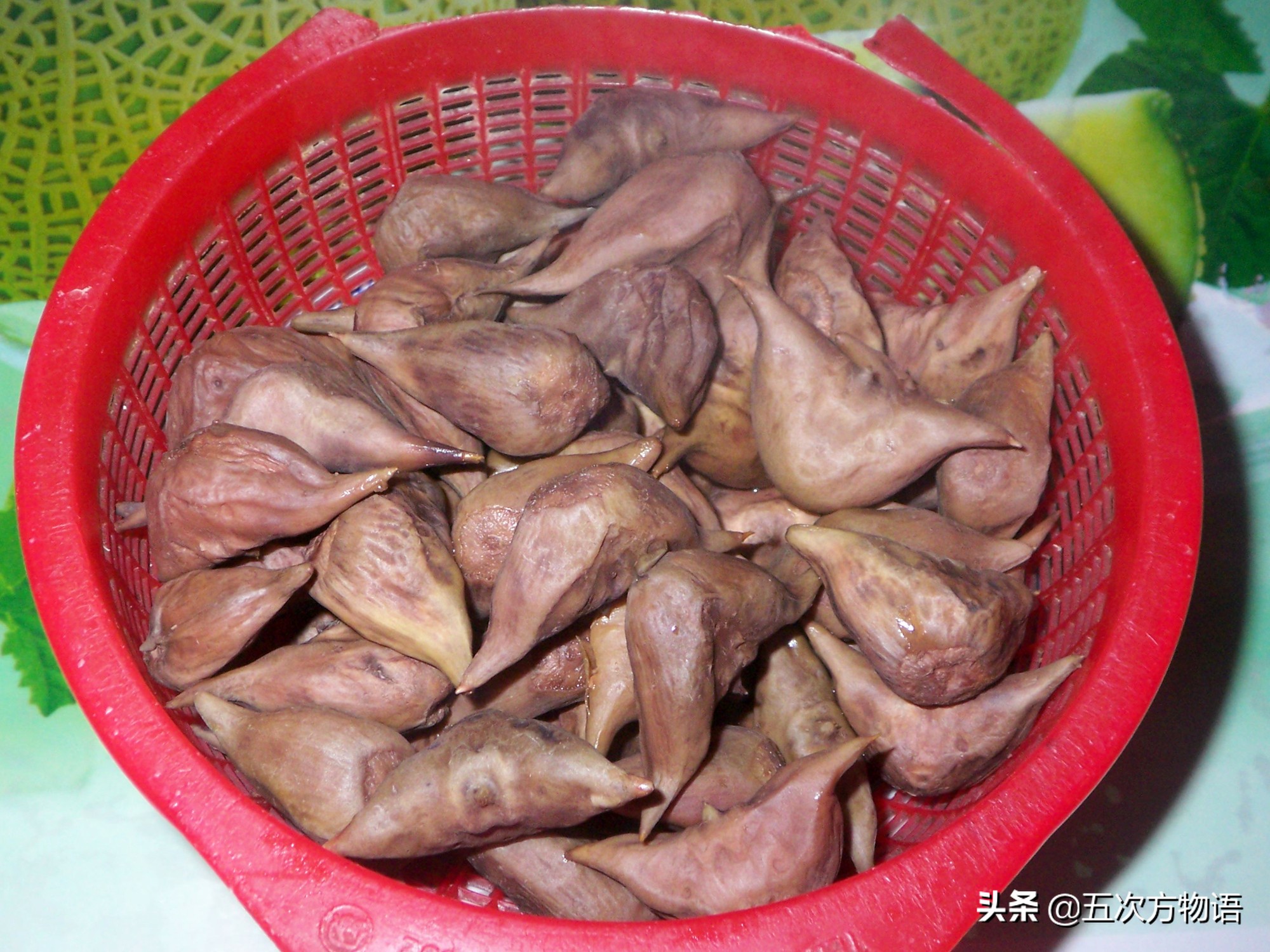 吃过菱角，却不知道菱角梗更好吃