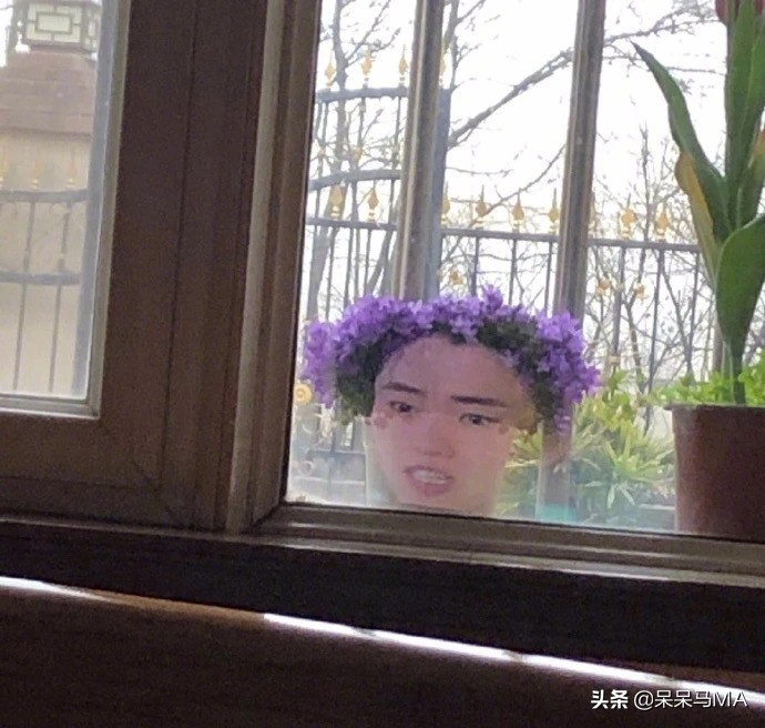 密室大逃脱段子,盘点那些搞笑的逃脱密室