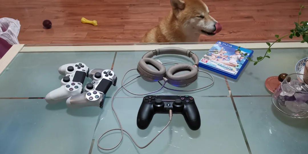 赛博朋克2077你以为是偶像见面会,赛博朋克2077首次公开