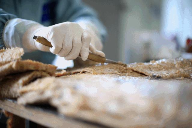 大连座头鲸标本,大连标本制作工厂