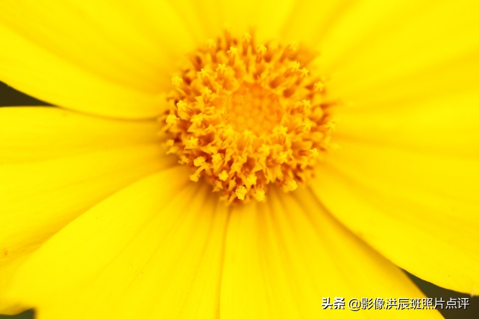 单反镜头有哪些小毛病,单反镜头容易碎吗为什么