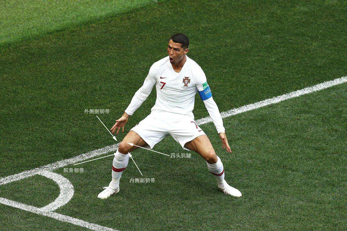 伤病毁掉五大天才球员,盘点十大生涯饱受伤病困扰的球员